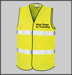 Hi Viz Vest